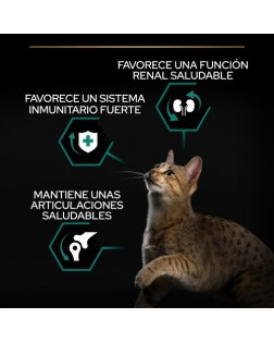 Caracteristicas Pro Plan pienso gato esterilizado RENAL PLUS Pavo 400 gr