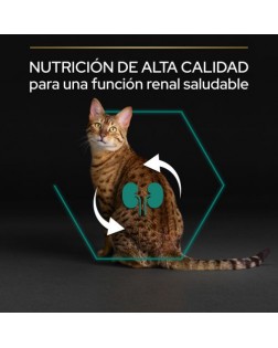 Nutricion de calidad Pro Plan pienso gato esterilizado RENAL PLUS Pavo 400 gr