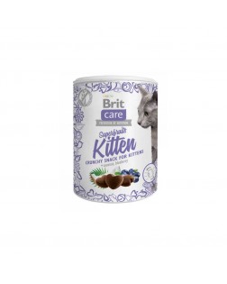 Brit snack gato Superfrutas kitten 100 gr